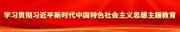 代替女儿让你干到爽学习贯彻习近平新时代中国特色社会主义思想主题教育